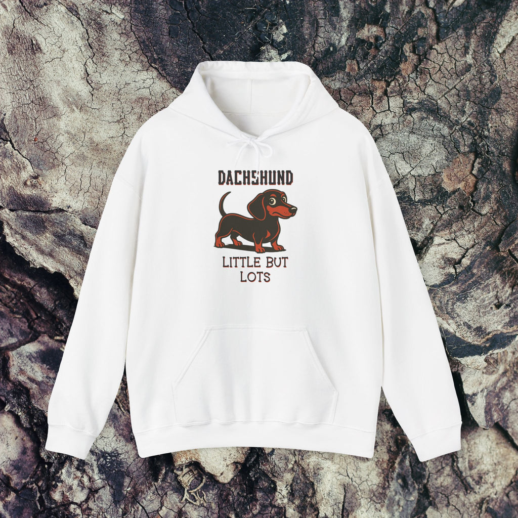 Dachshund Love Hooded Sweatshirt, Cute Pet Hoodie, Dog Lover Gift, Cozy Spring Fashion, Casual Everyday Wear